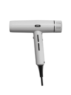 JRL FP2401 – Professional Ultra-Light Hair Dryer Set With 2 Brushes