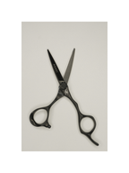 ASAKI VMA02 Hairdressing Scissors