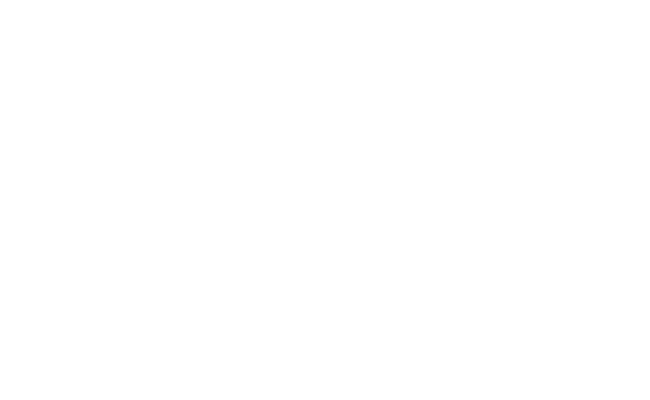 NISHLADY